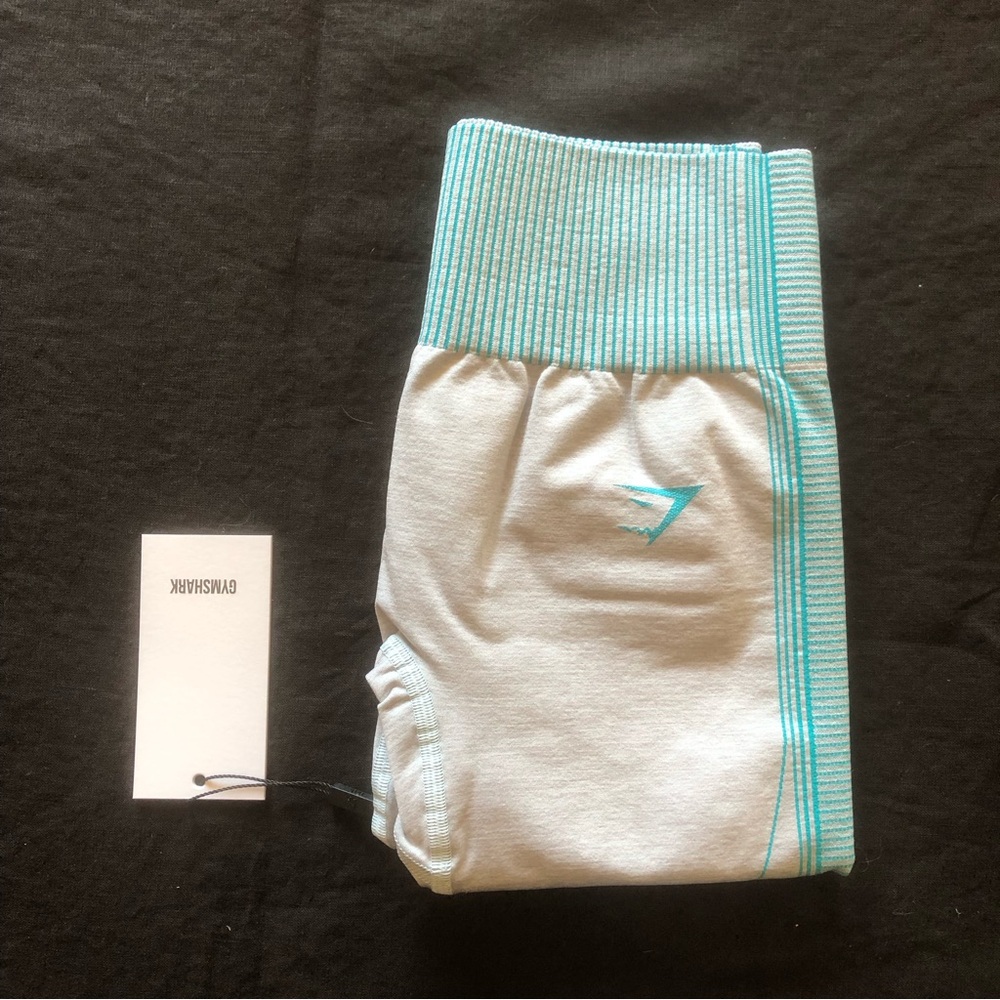 Hyper Amplify Leggings (teal)